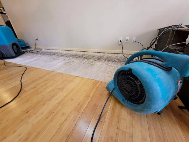 Professional Burst Pipe Water Damage technician working in Osage, MN